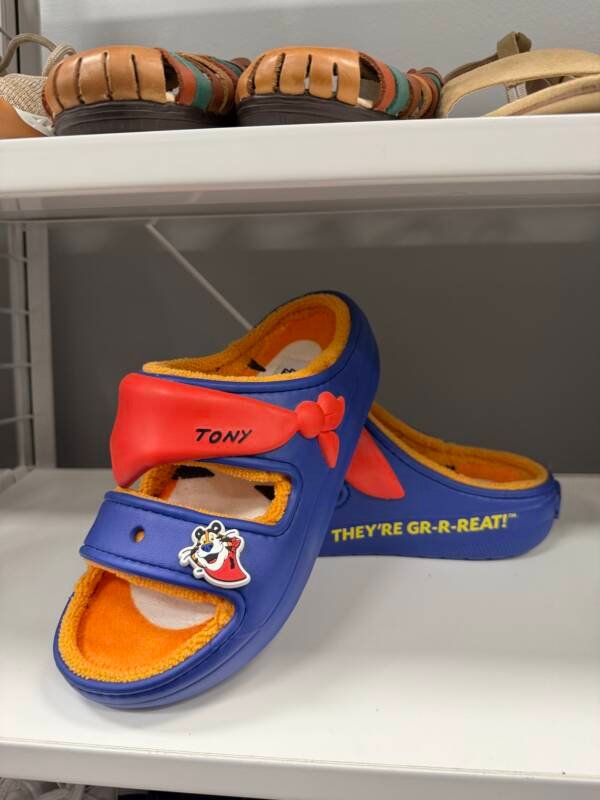 Kids' Tony the Tiger Cartoon Slides